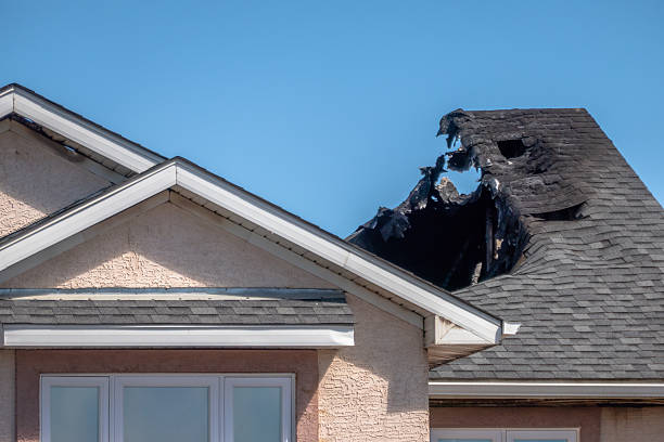 Top rated local Fire Damage Removal specialists in Kingston, NJ
